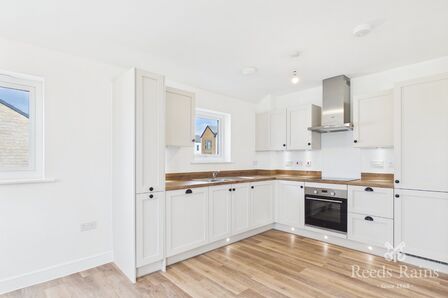 1 bedroom Flat to rent