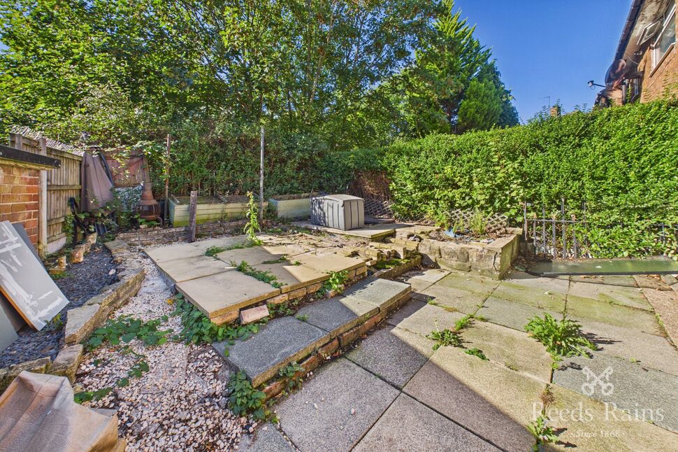 Image 12