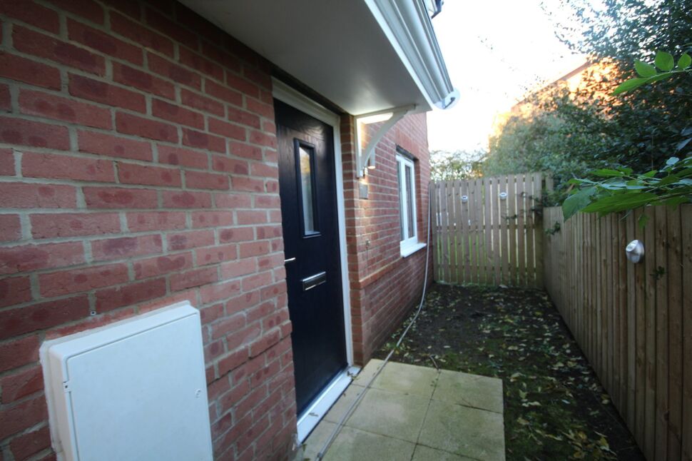 Image 11