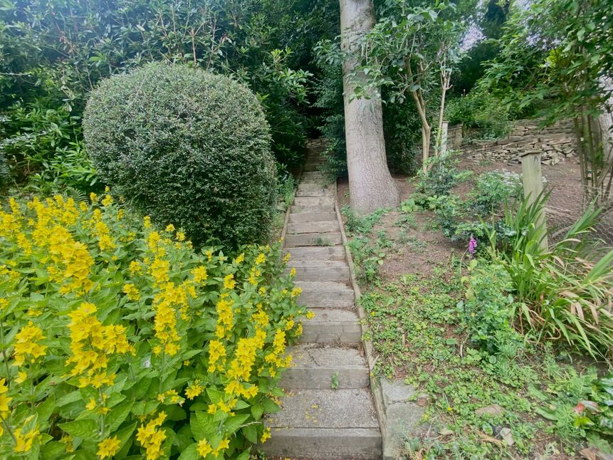Image 22