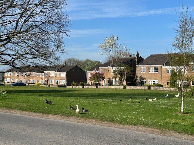 Image 16