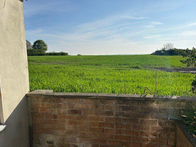 Image 14