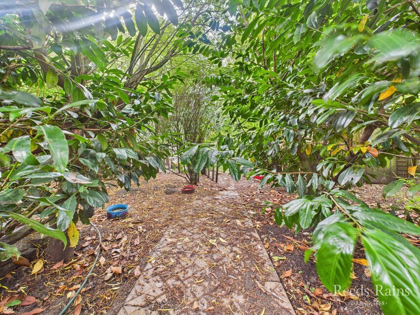 Image 12