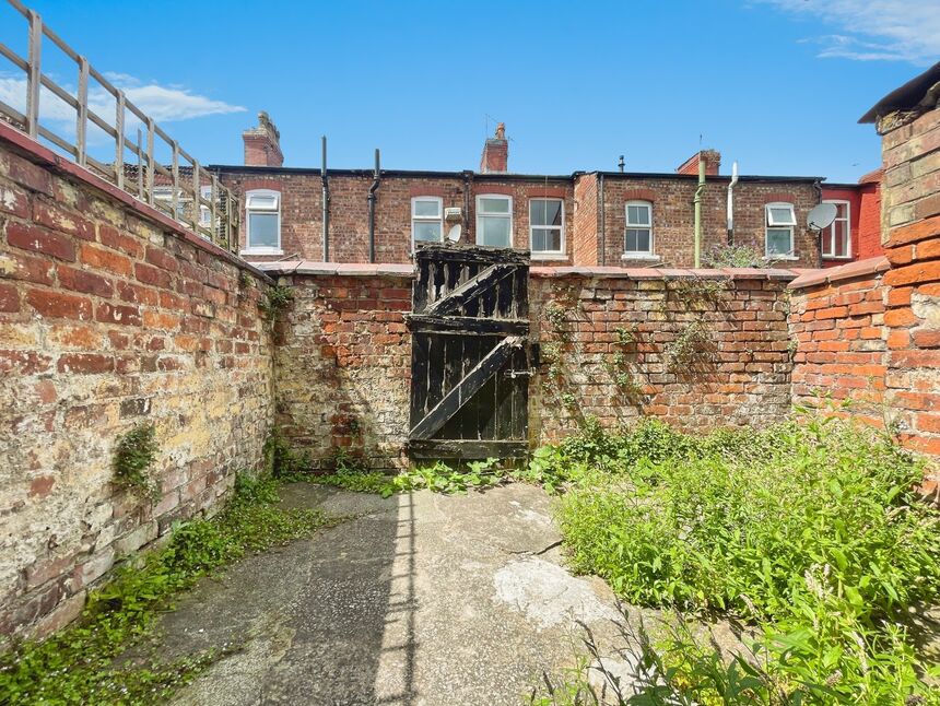 Image 11