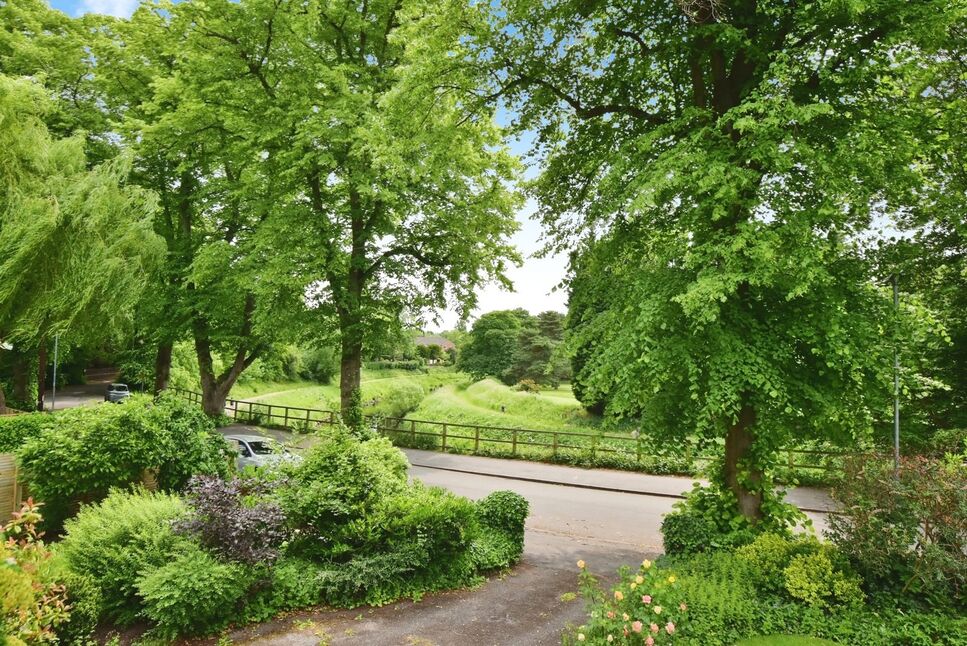 Image 20