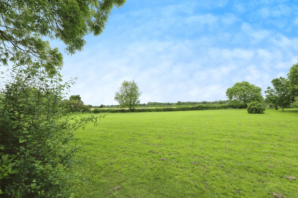 Image 20