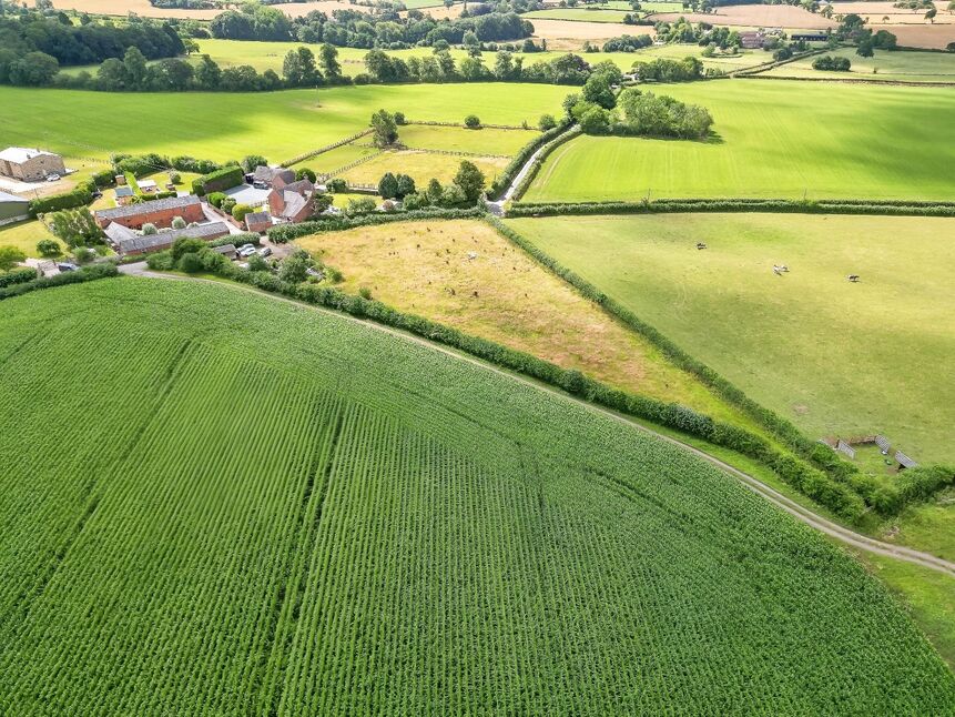 Land