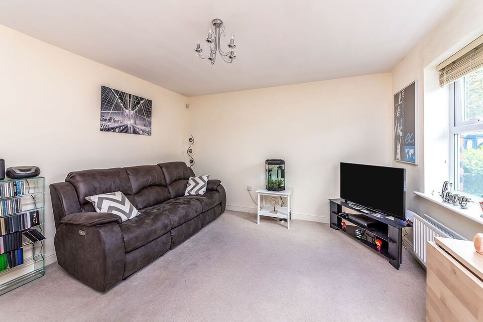 Lounge / Dining Area