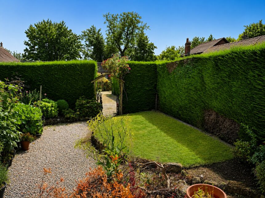 Shared Garden