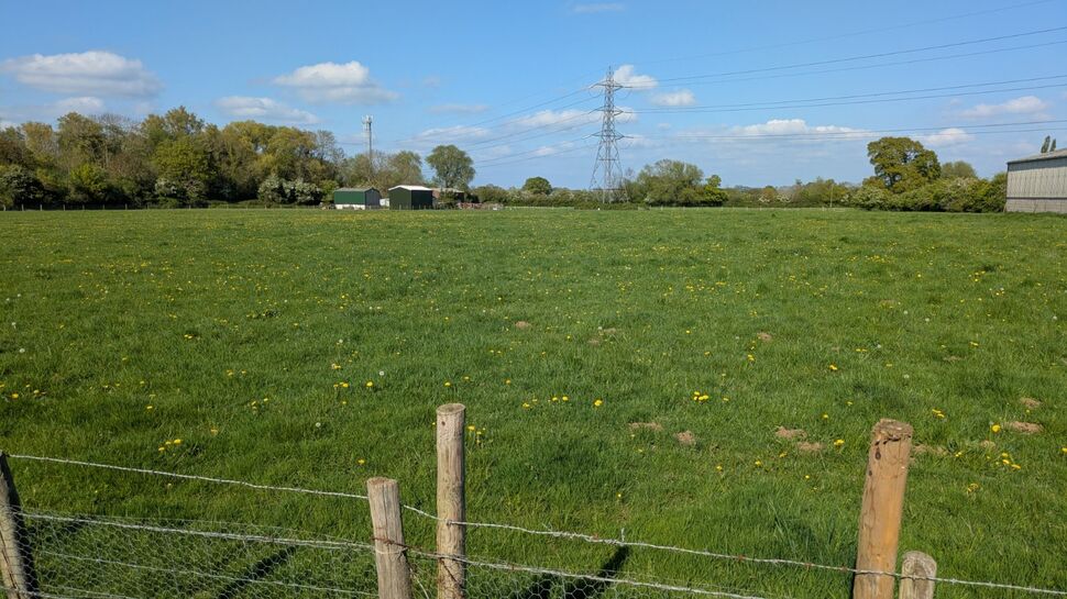 Image 11