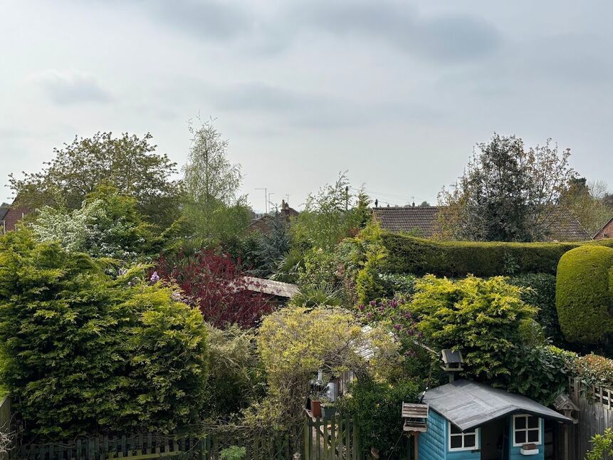 Image 10