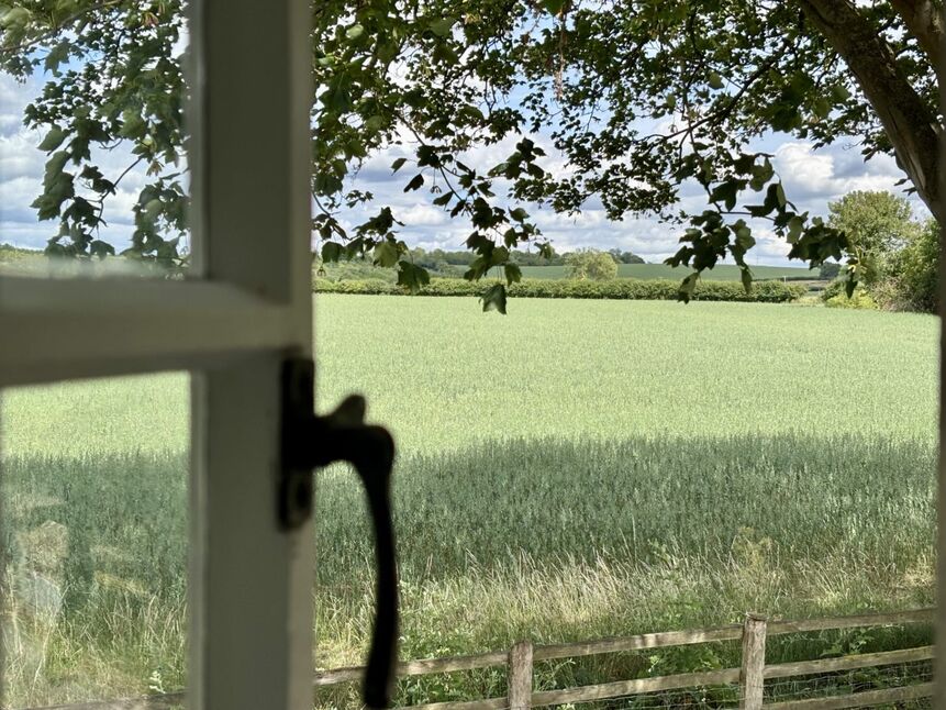 Image 14