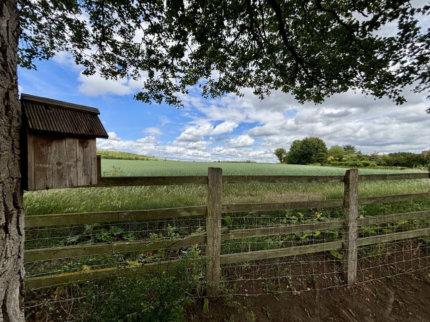 Image 18