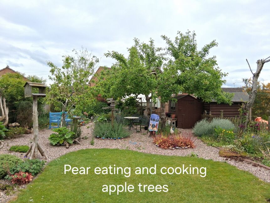 Image 17