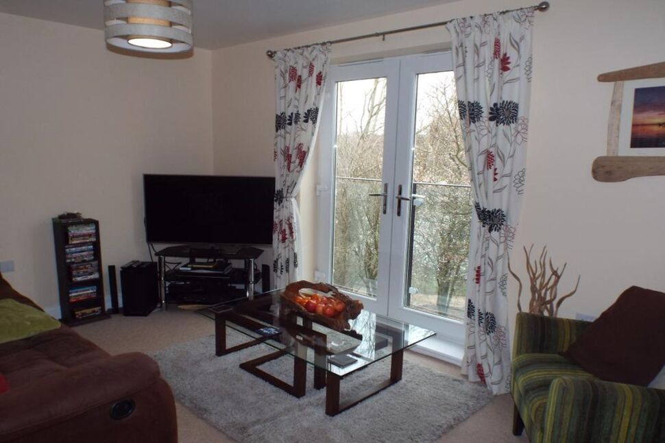 Living Room / Kitchen Area