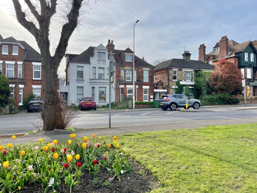 Image 12