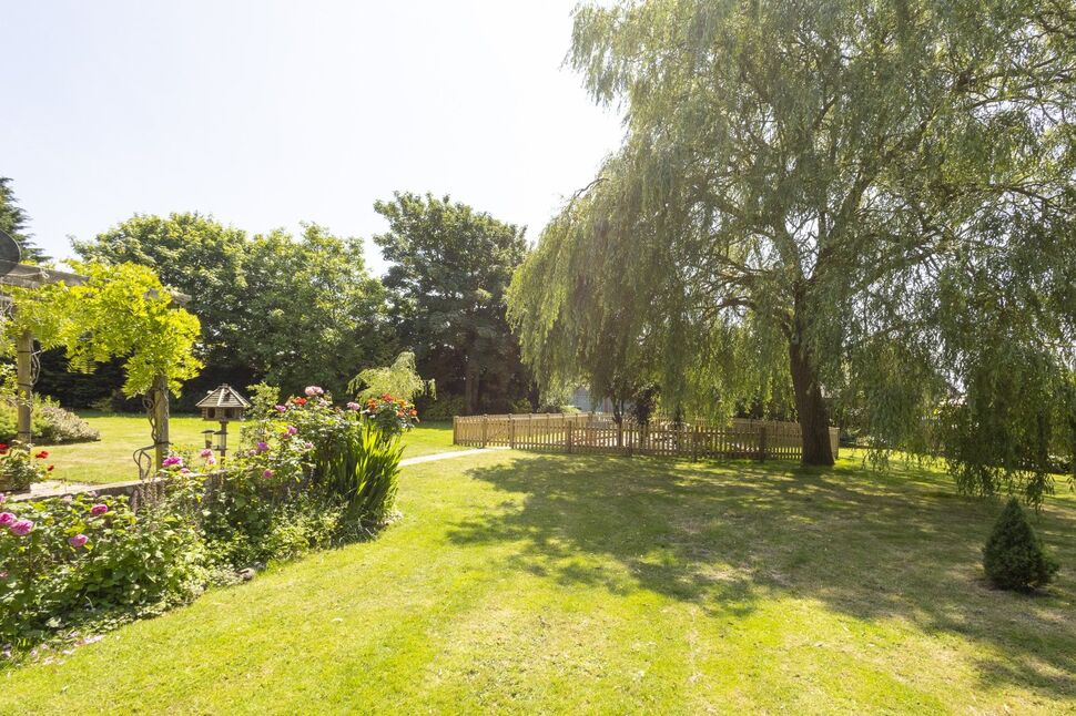 Image 29