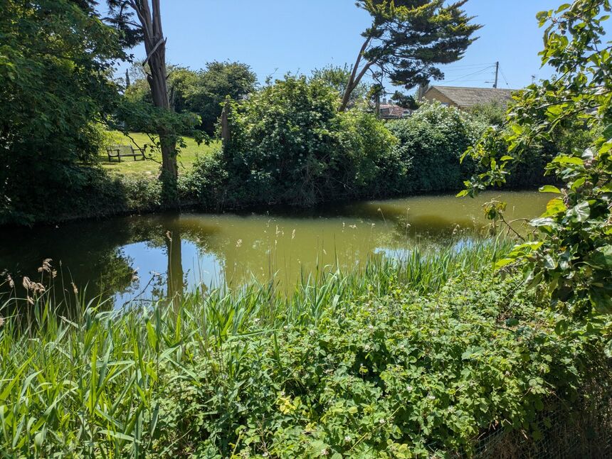 Image 6