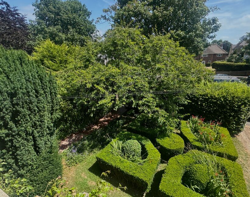 Image 20