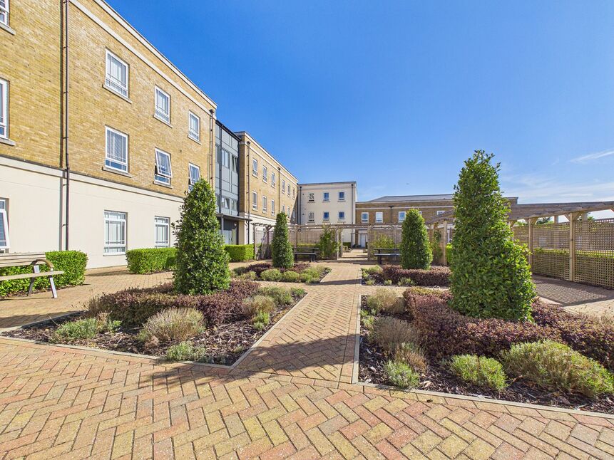 Image 16