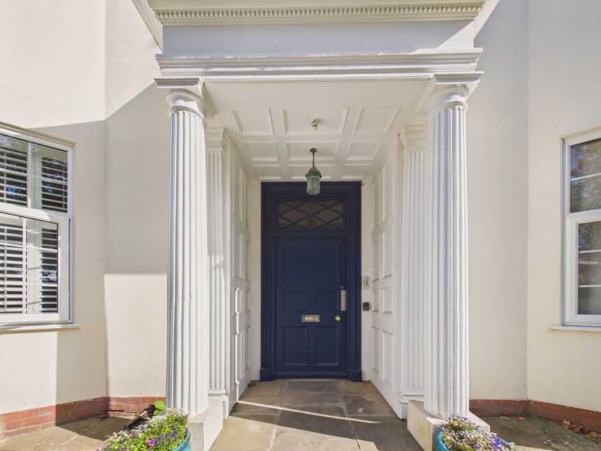 Image 15