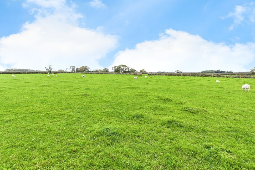 Image 18