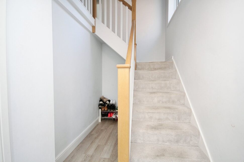 Image 15