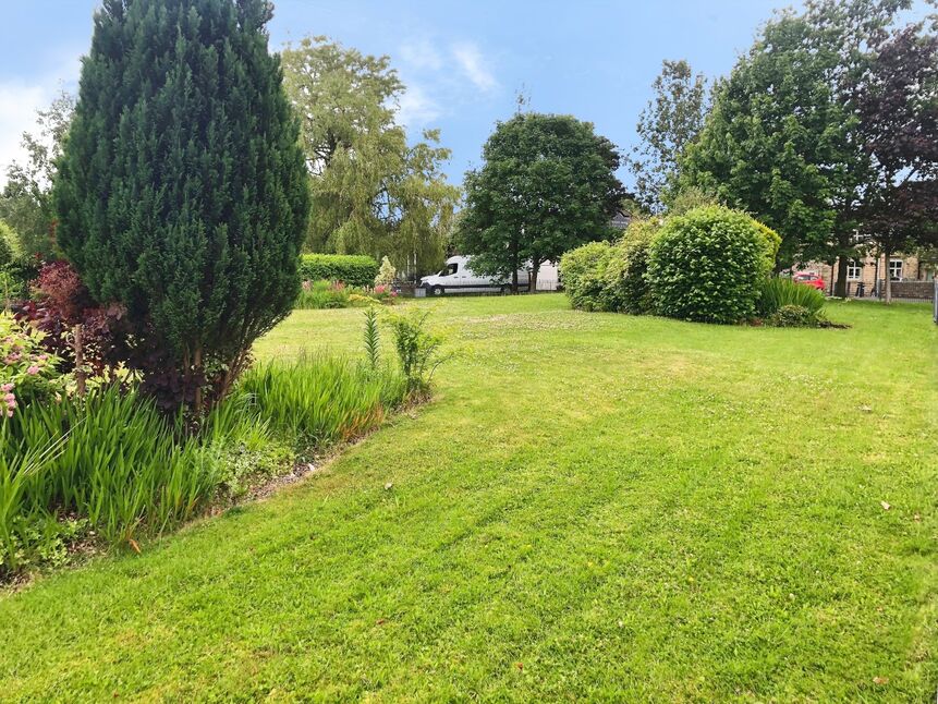 Image 12