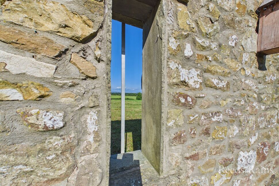 Image 32