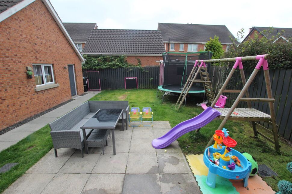 Image 15
