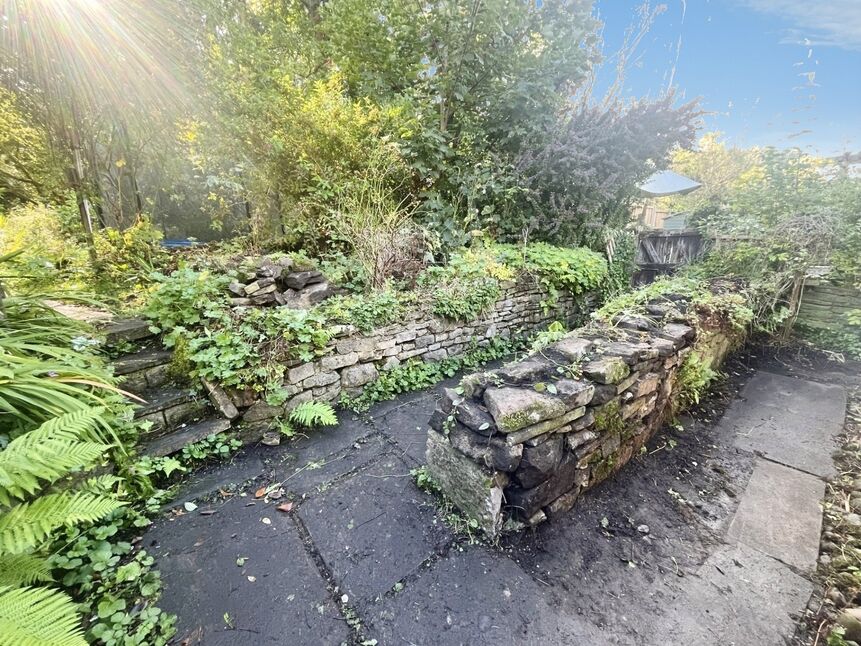 Image 15