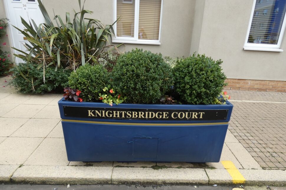 Image 8