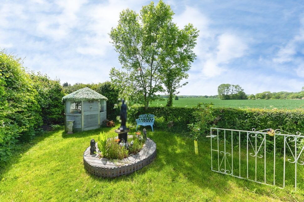 Image 29