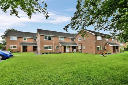 1 bedroom  Flat to rent