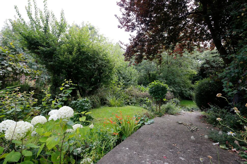Image 23