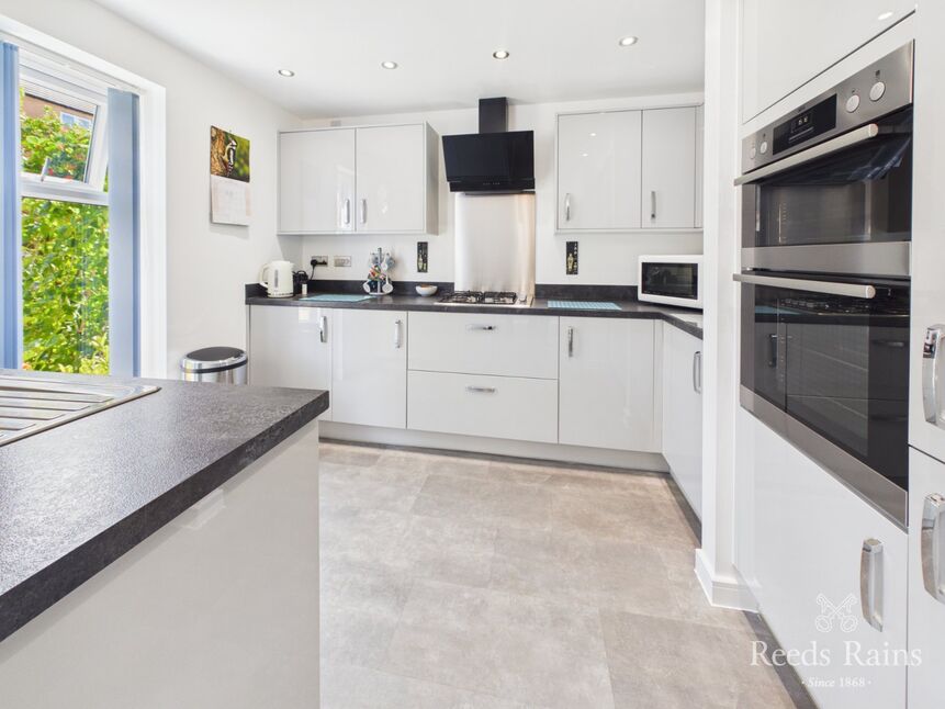 Kitchen / Living Area