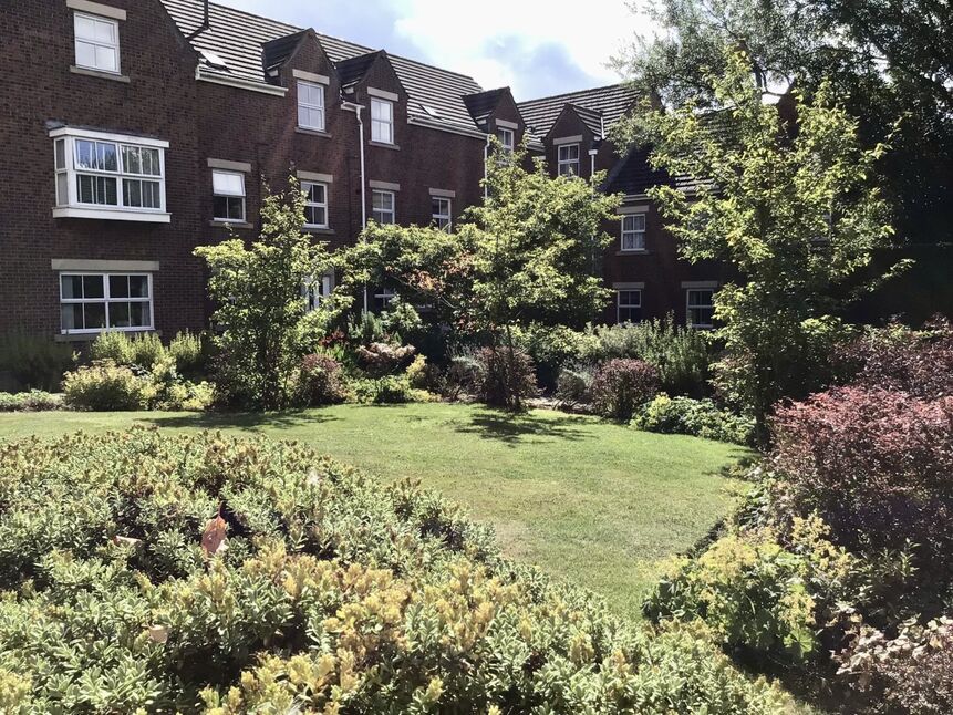 Image 12