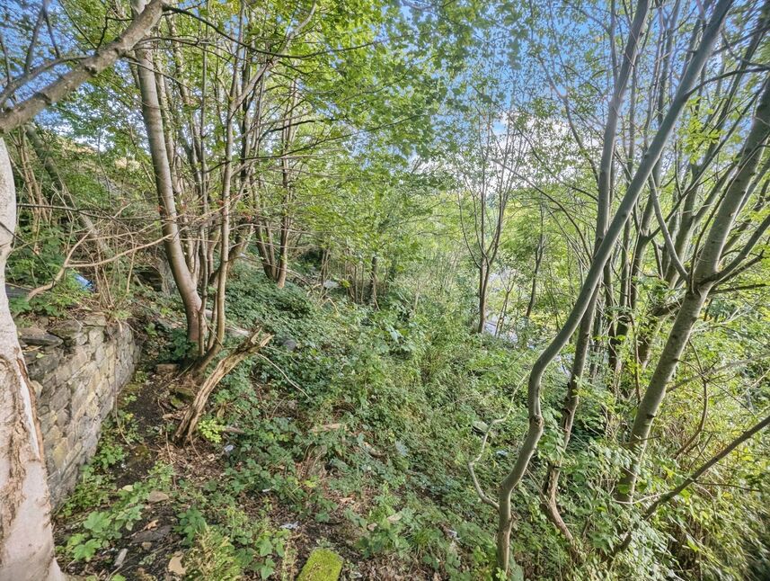  Land/Plot for sale