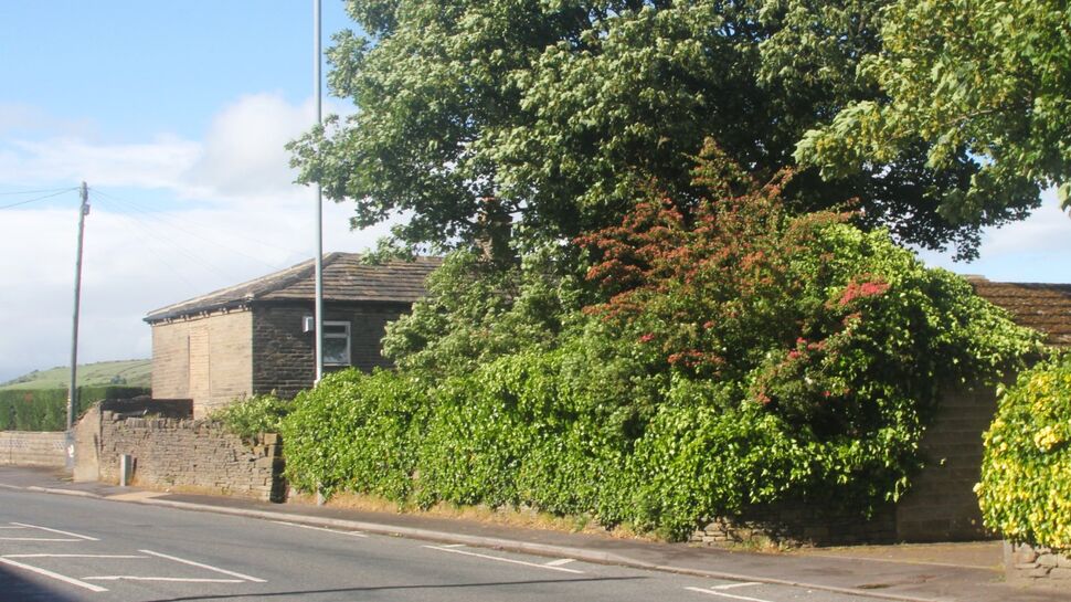 Image 14