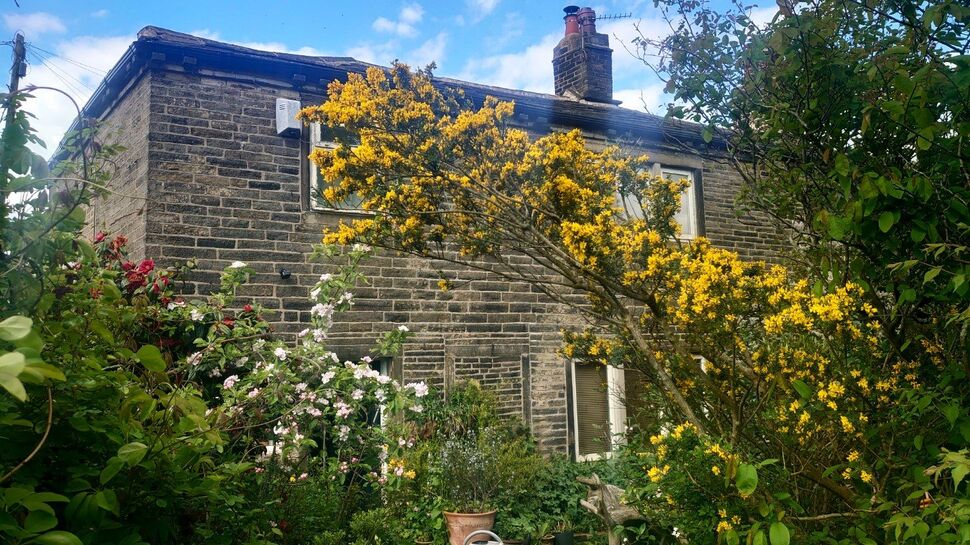 Image 15