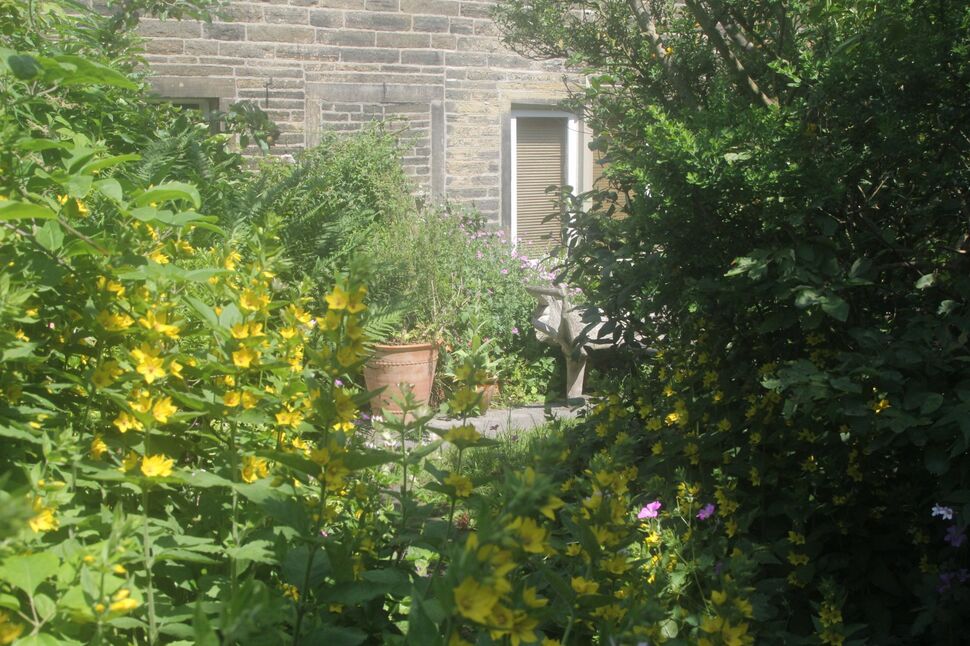 Image 17