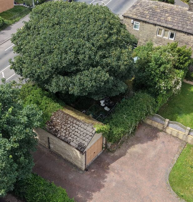 Image 23