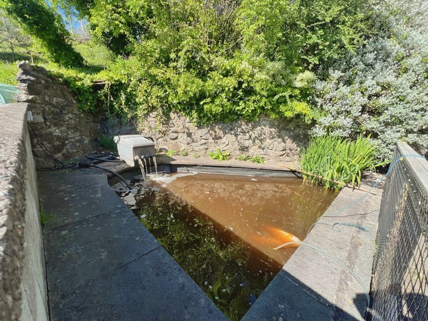Image 15