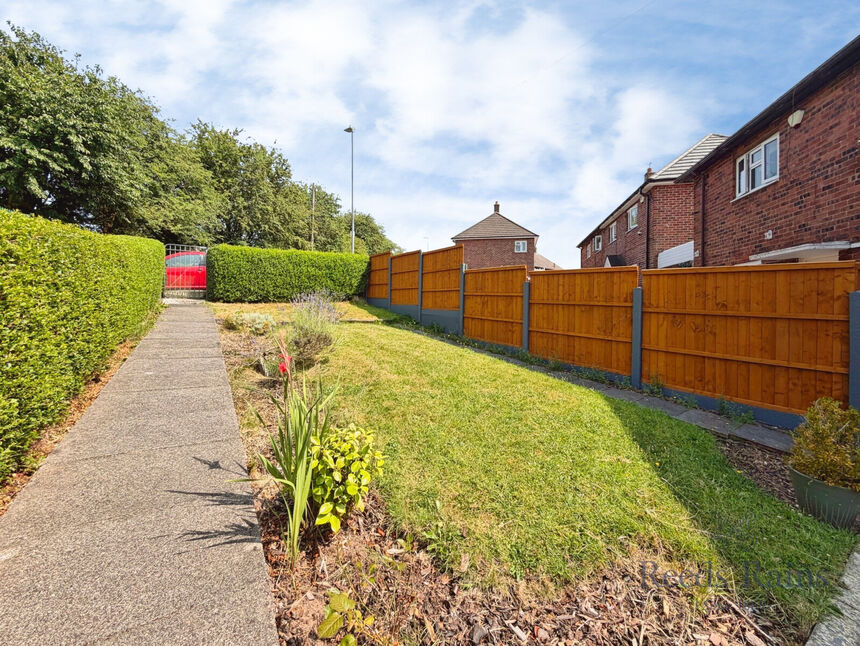 Image 15