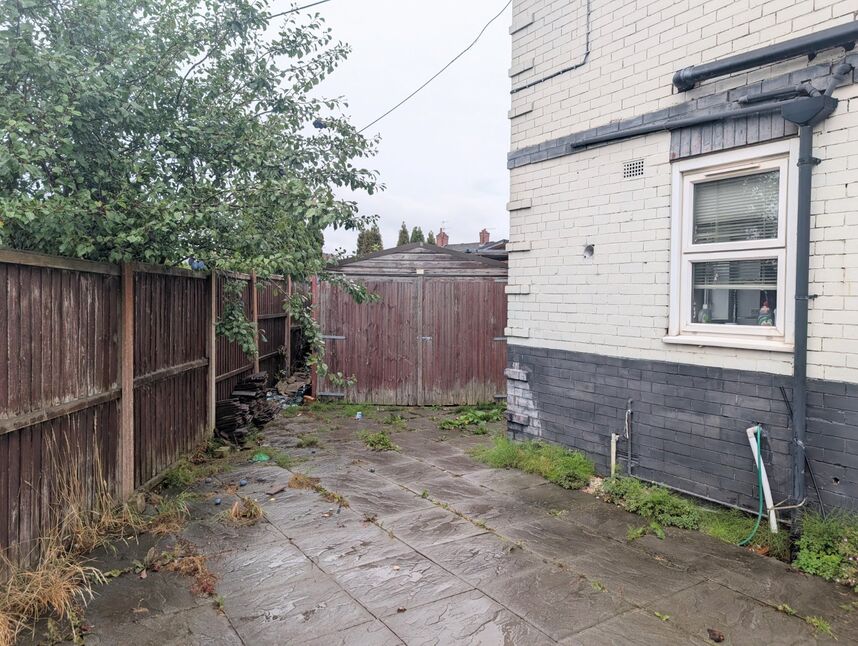 Image 8