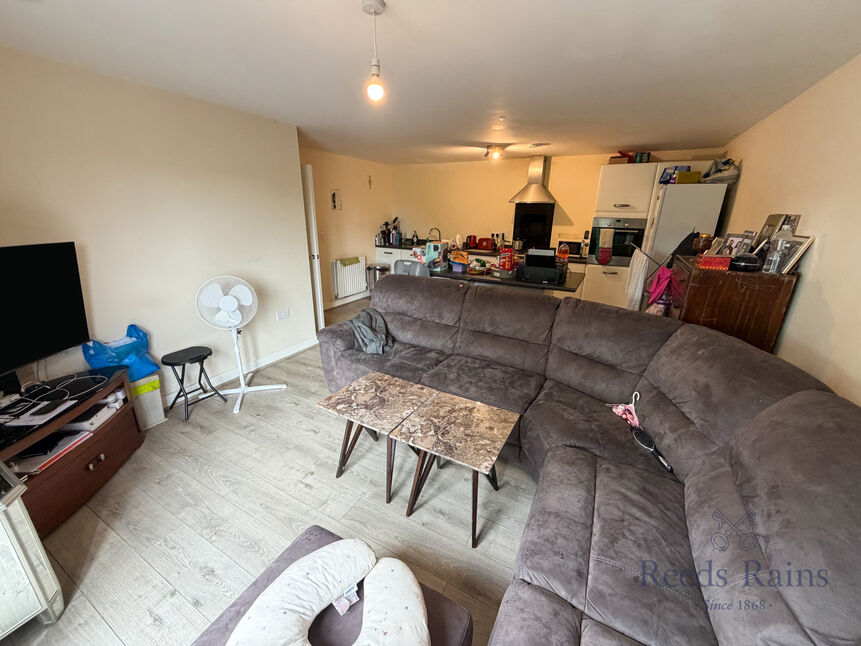 Kitchen / Living Area
