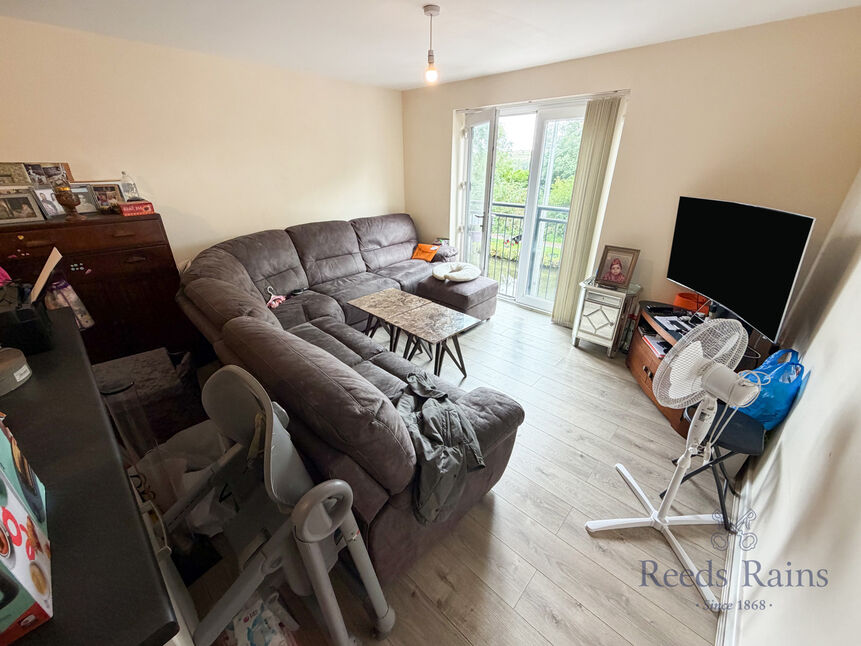 Kitchen / Living Area