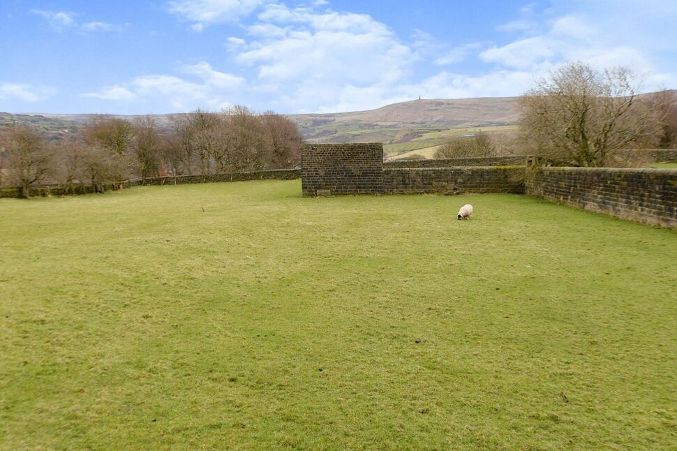 Image 13