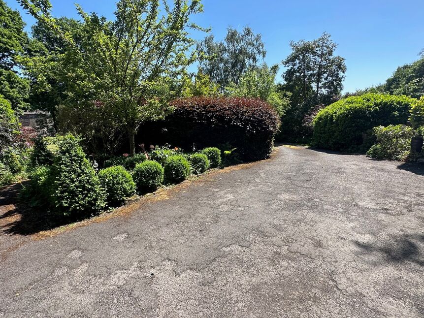 Image 19