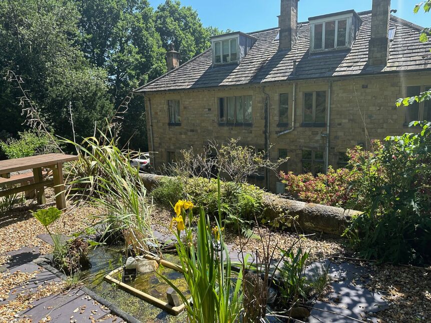 Image 22